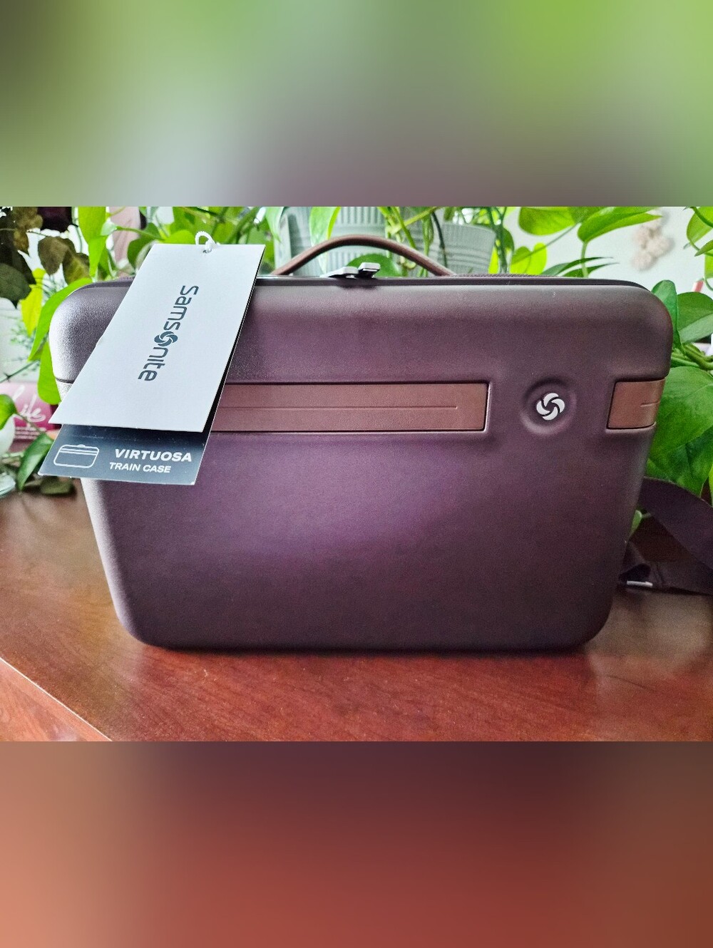 Samsonite Virtuosa Train Case